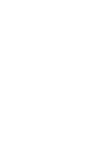 Novo dynamic